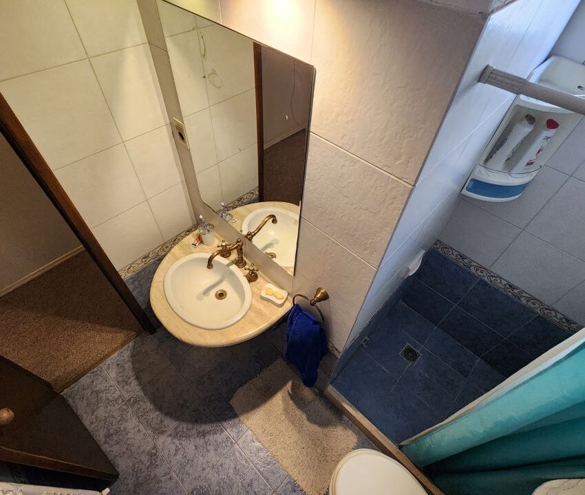 Piso 1 baño (12)